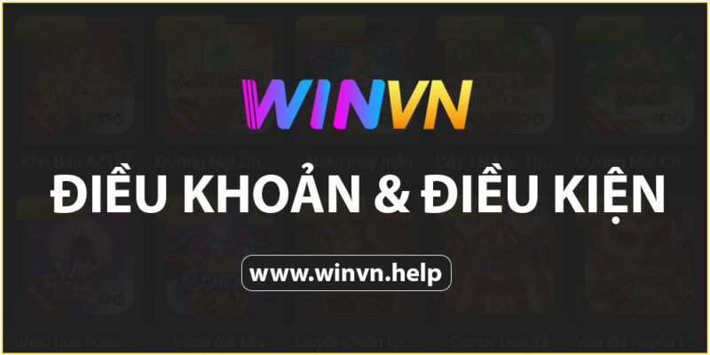 điều khoản và điều kiện Winvn